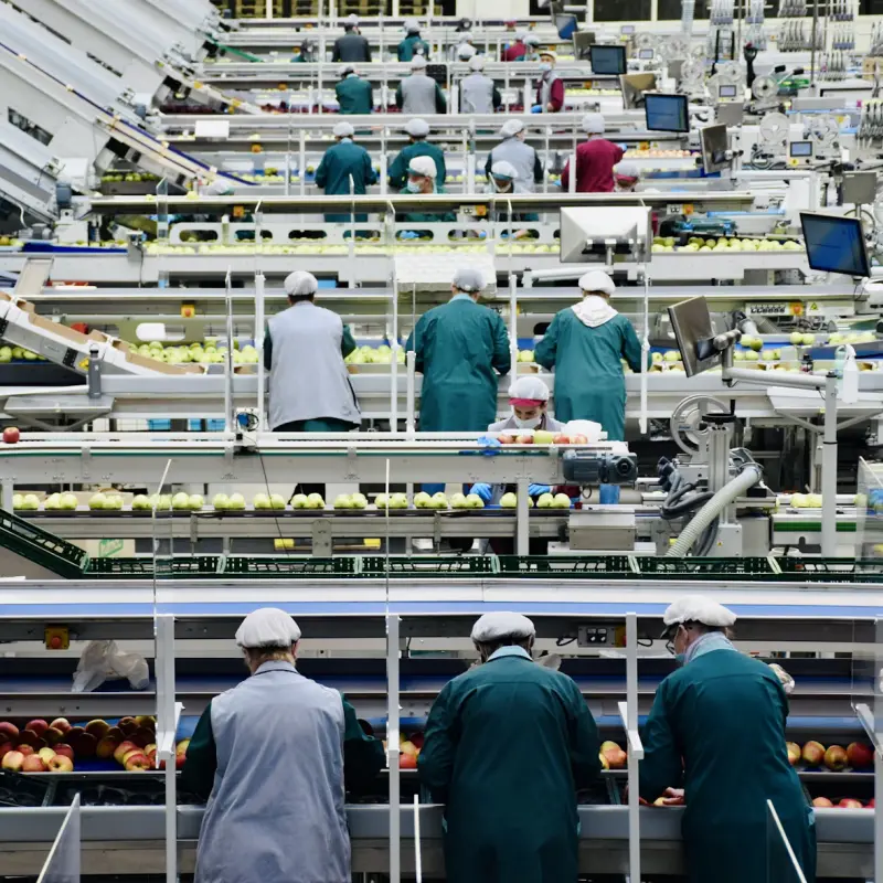 Food processing line