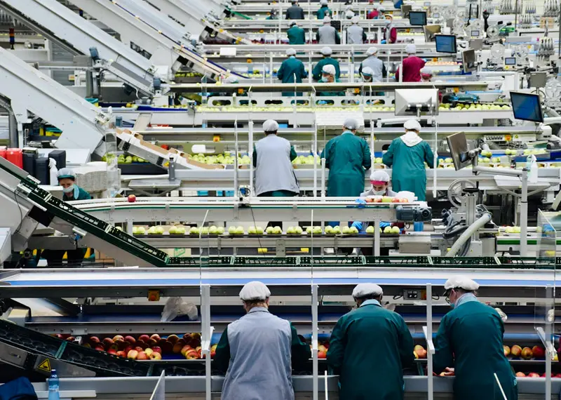 Food processing line